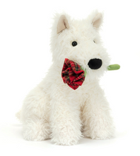 Load image into Gallery viewer, Jellycat Amuseables