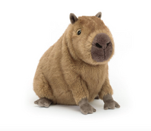 Load image into Gallery viewer, Jellycat Stuffed Animal