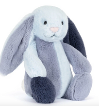 Load image into Gallery viewer, Jellycat Amuseables