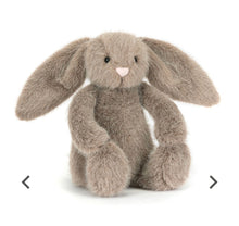 Load image into Gallery viewer, Jellycat Stuffed Animal
