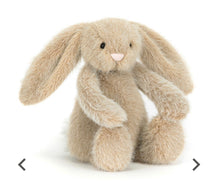 Load image into Gallery viewer, Jellycat Stuffed Animal
