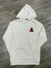 Load image into Gallery viewer, Albany Academy Youth Performance Hoodie Shirt
