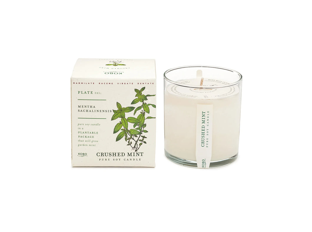 Plant the Box Candles