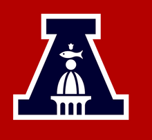 Load image into Gallery viewer, Albany Academy 47 brand hat
