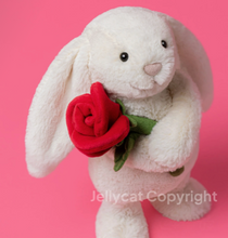 Load image into Gallery viewer, Jellycat Amuseables
