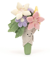 Load image into Gallery viewer, Jellycat Amuseables
